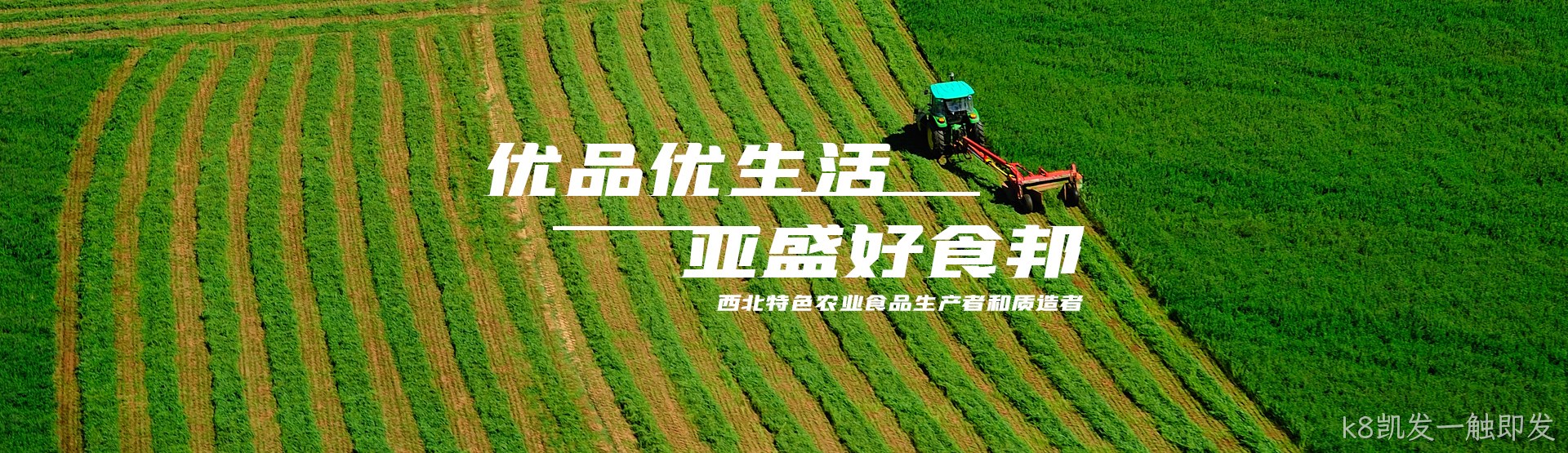 k8凯发一触即发，优品优生活