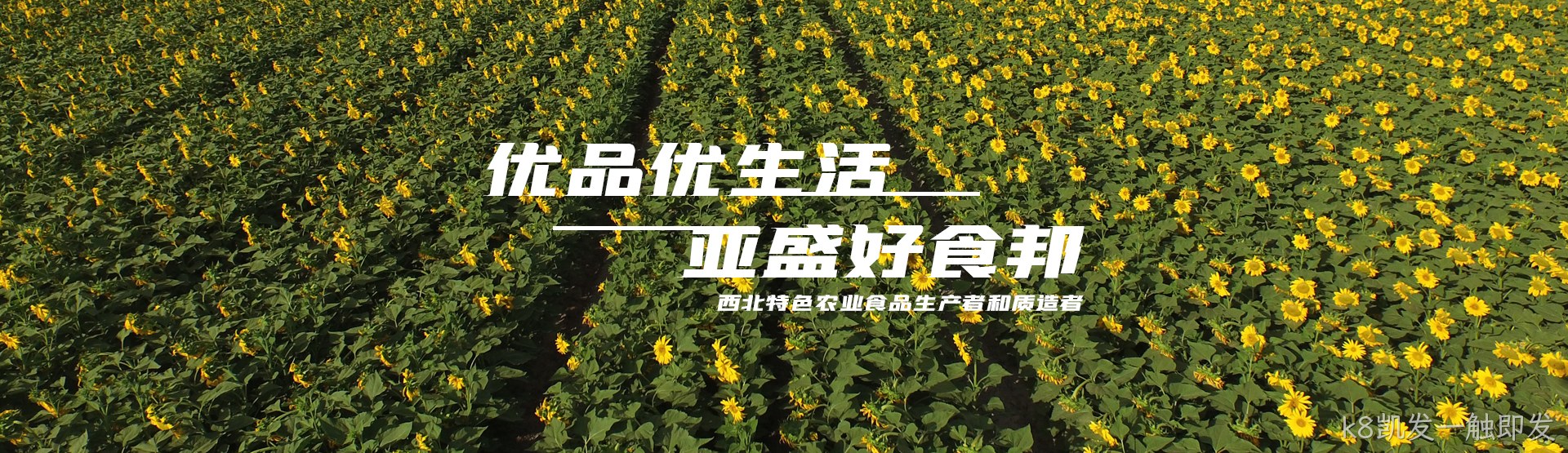 k8凯发一触即发，优品优生活